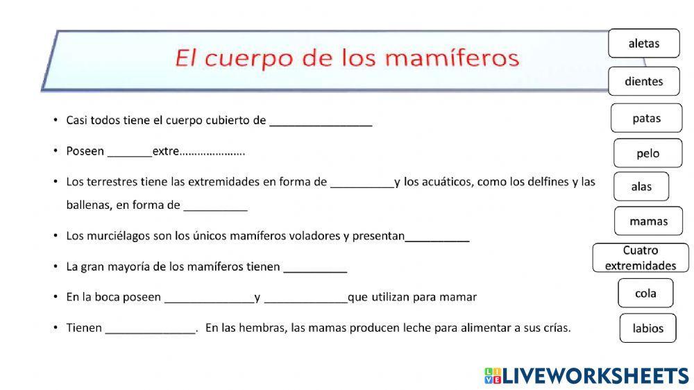 Los animales vertebrados