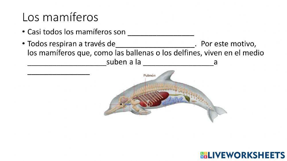 Los animales vertebrados