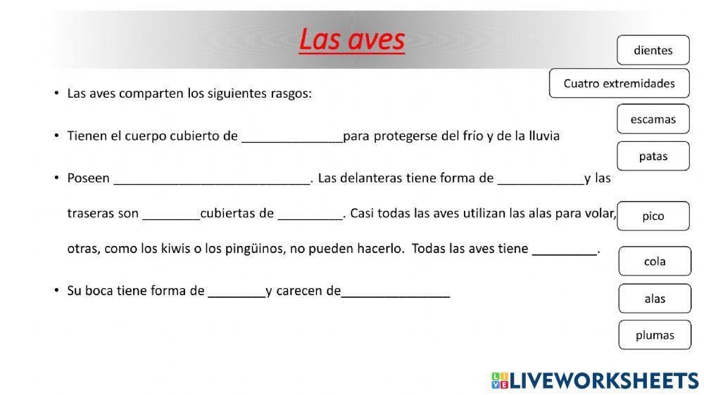 Los animales vertebrados