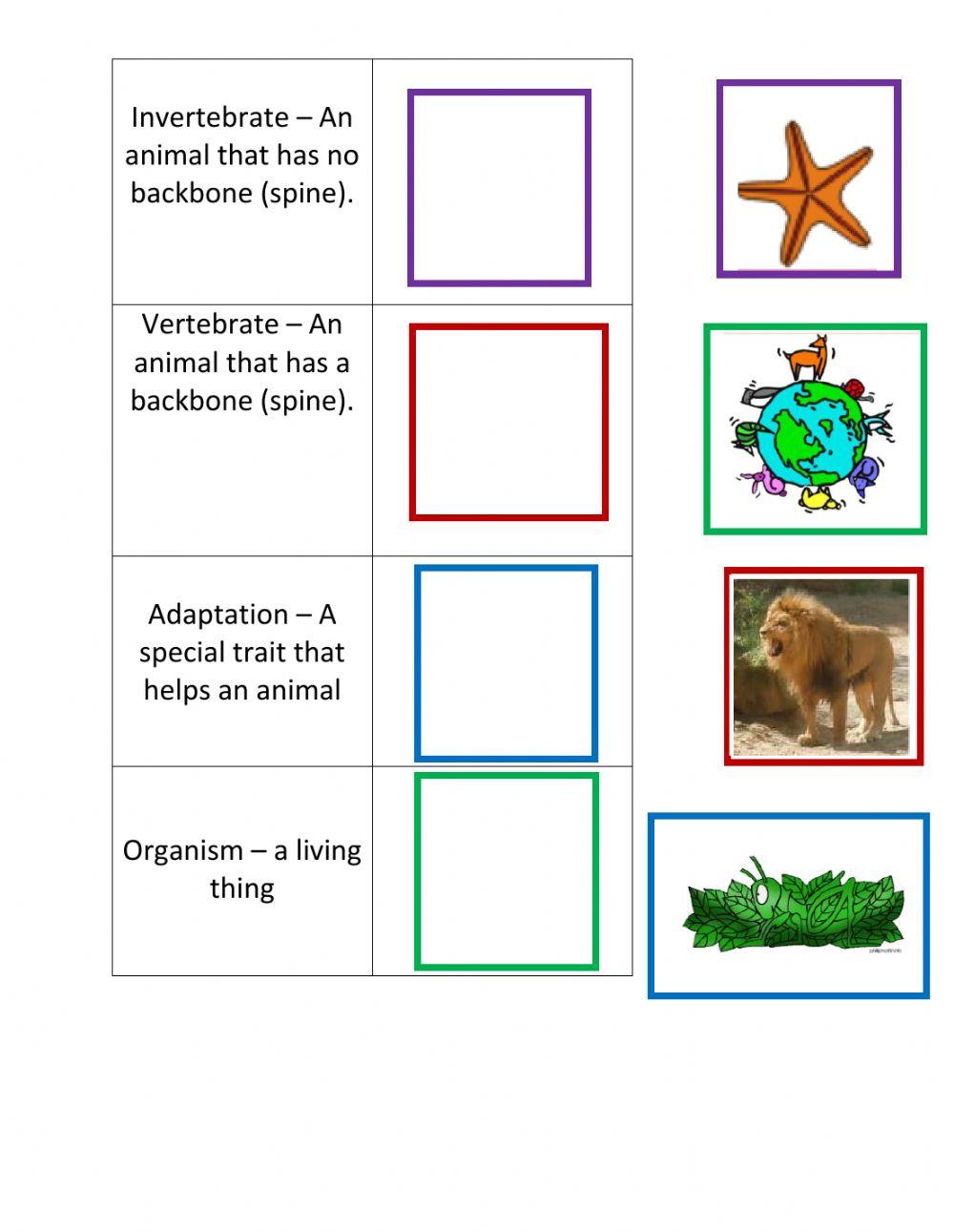 Types of Animals Vocabulary