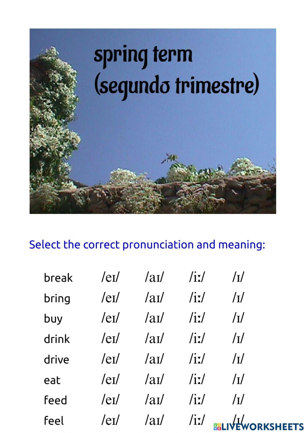 Separator 2 - irregular verbs pronunciation and meaning