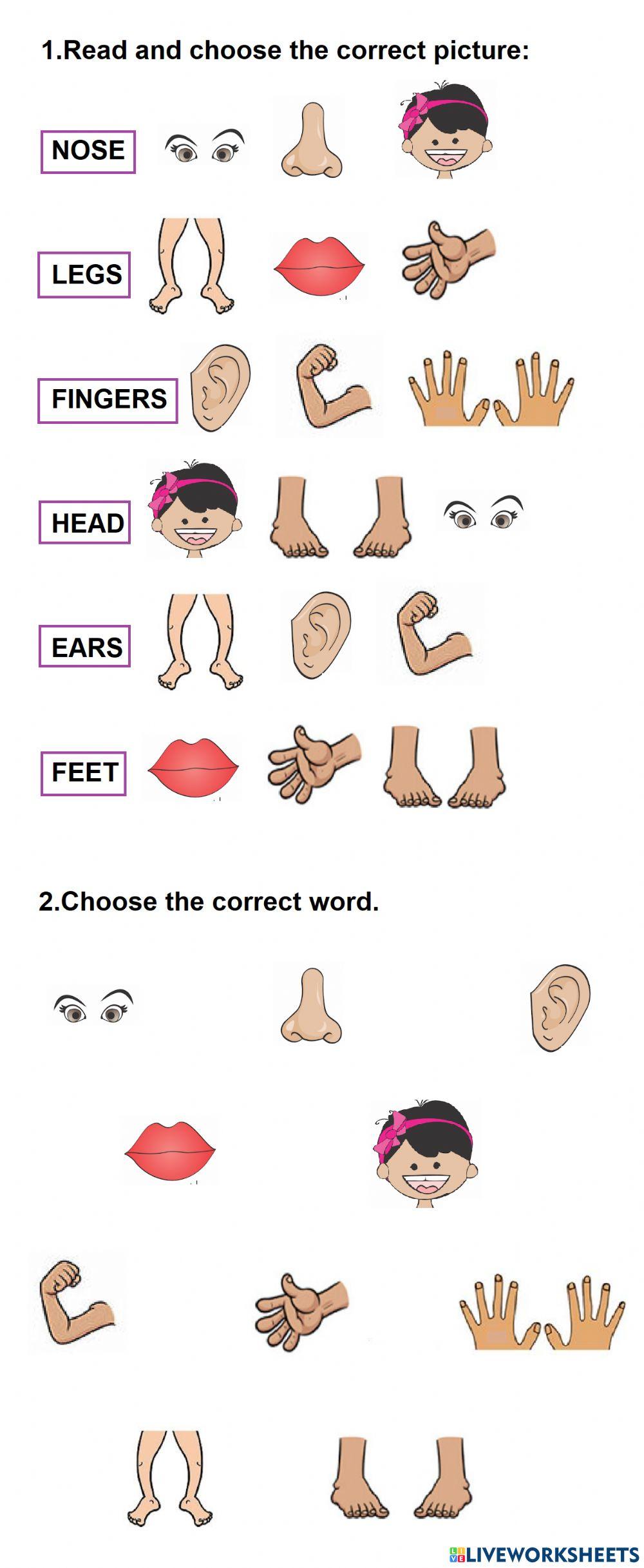 En1-unit2-body parts