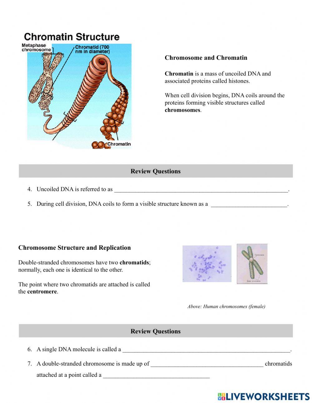 Chroma-Something Practice