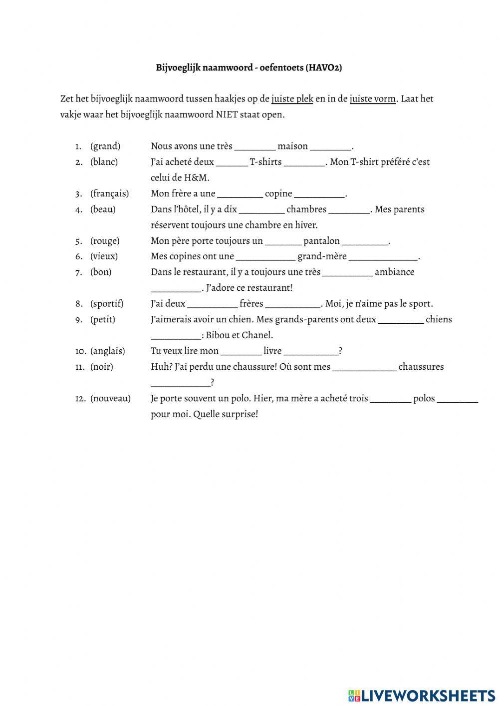 Adjectif qualificatif (HAVO2)