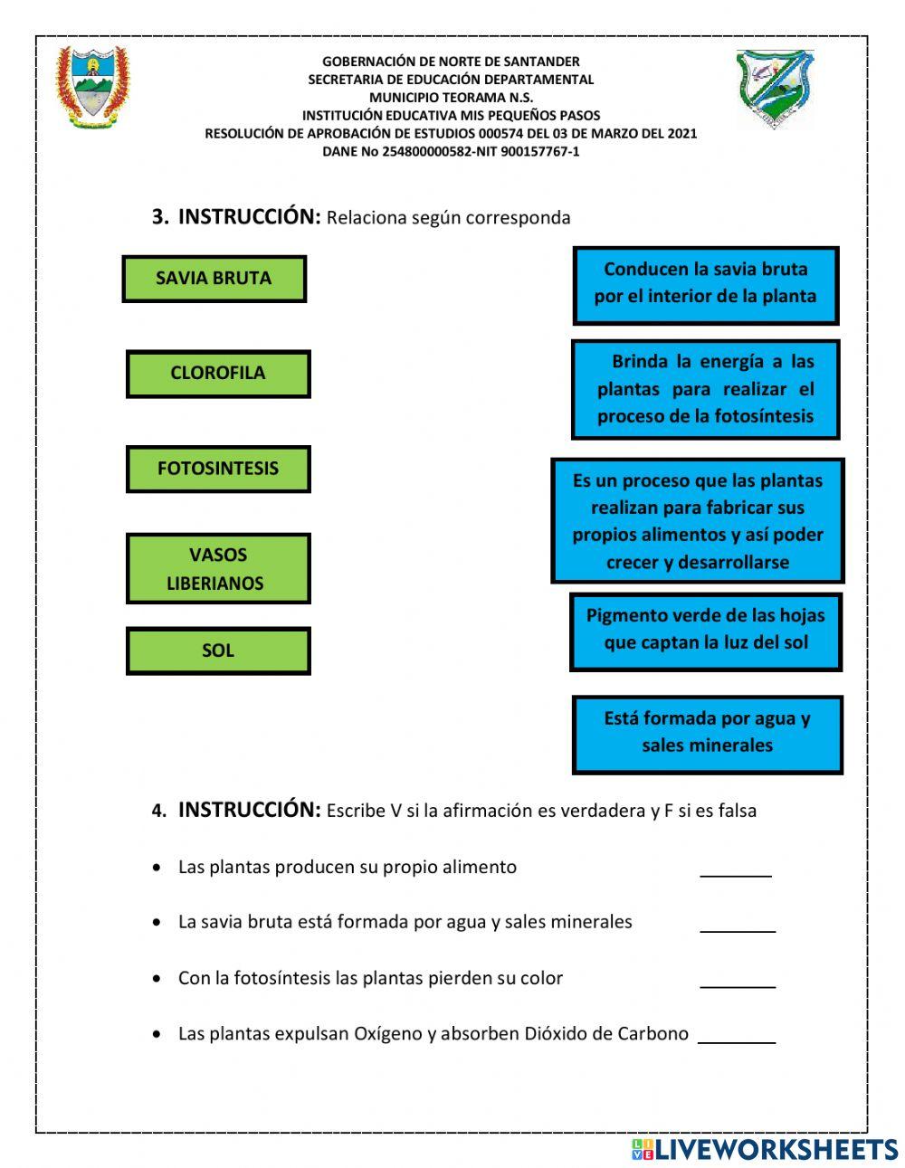 Alimentacion de las plantas