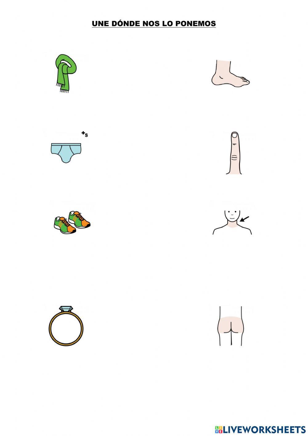 Ropa y partes del cuerpo