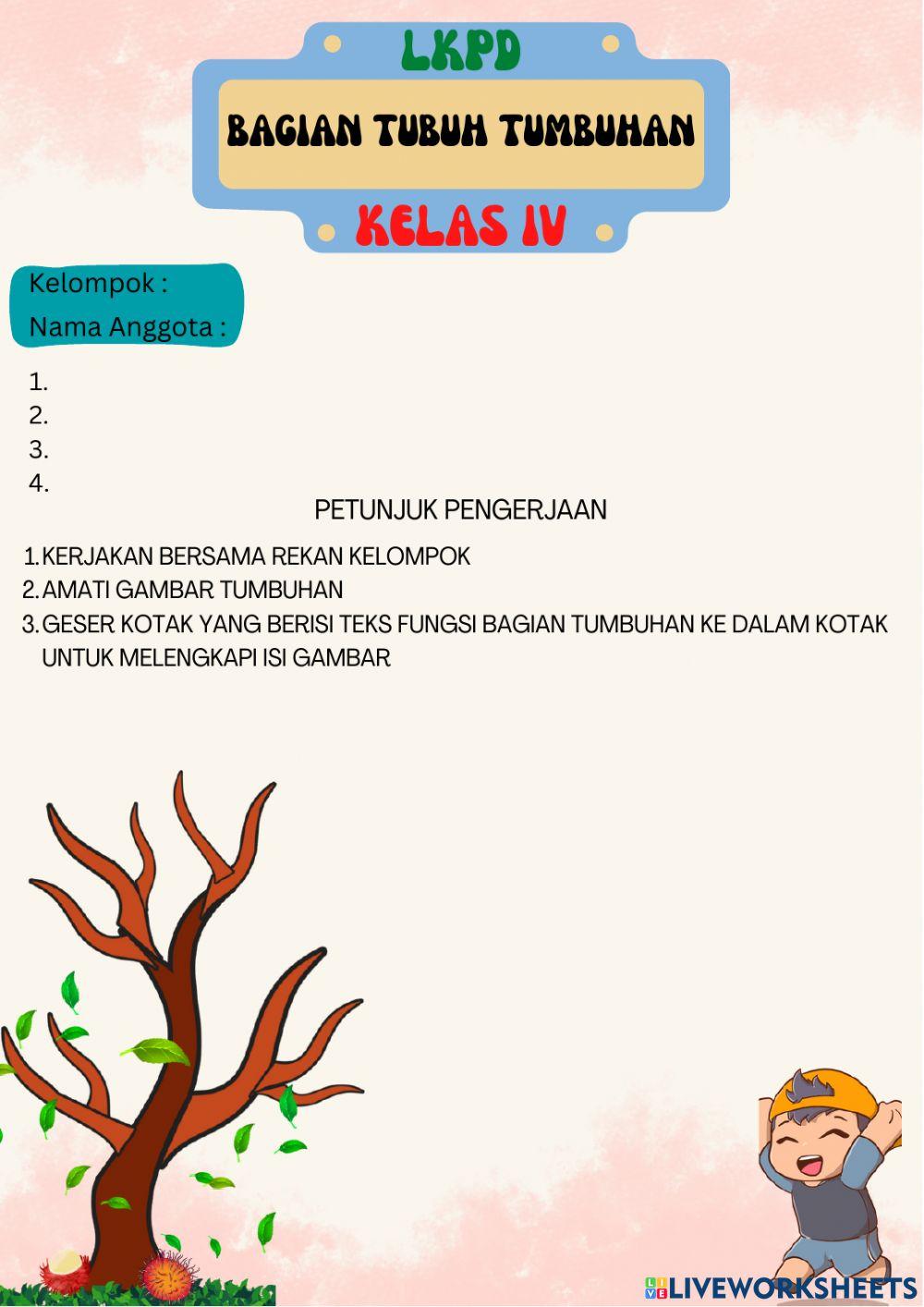 Belajar bagian tumbuhan