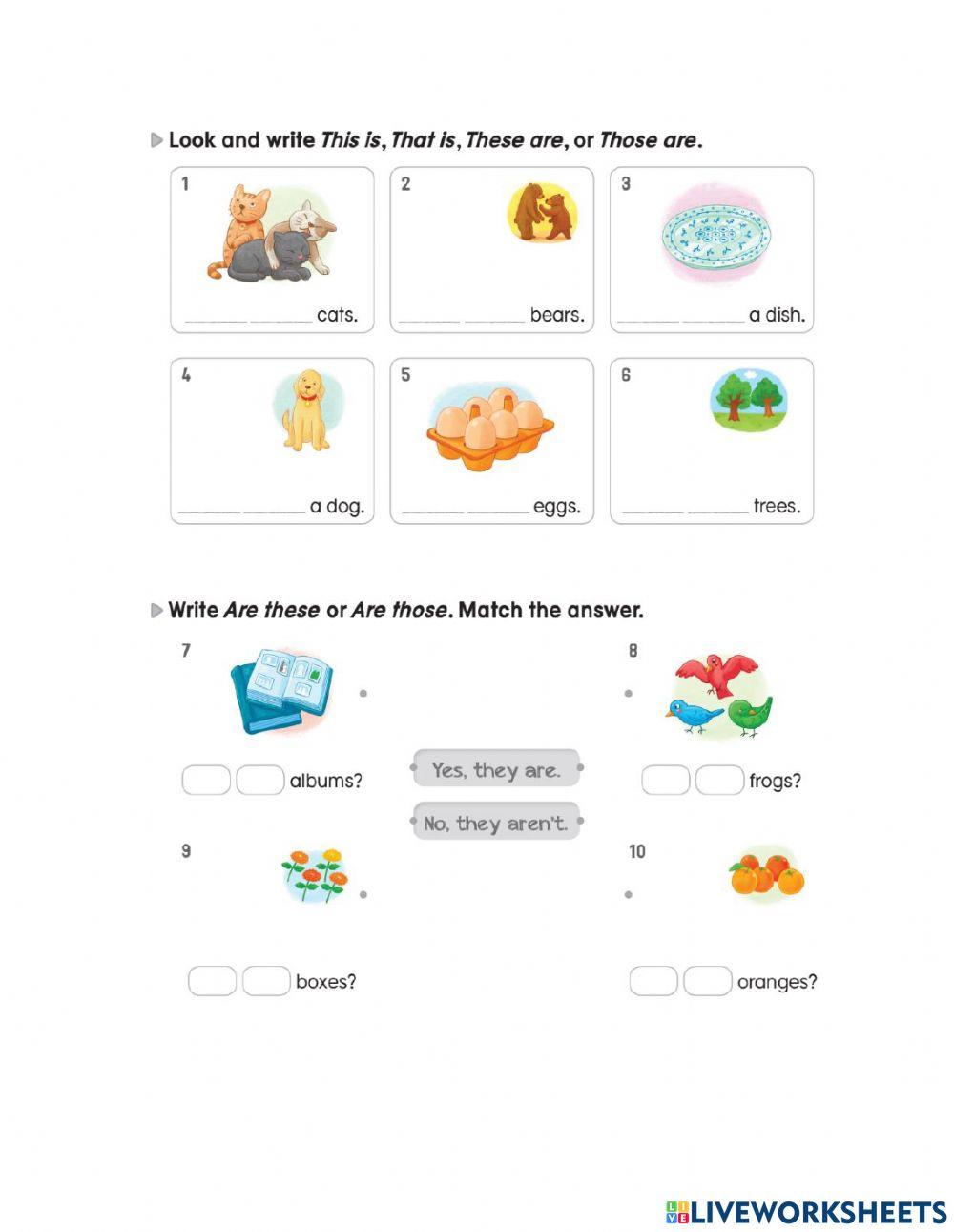 My first grammar 1- ws 8