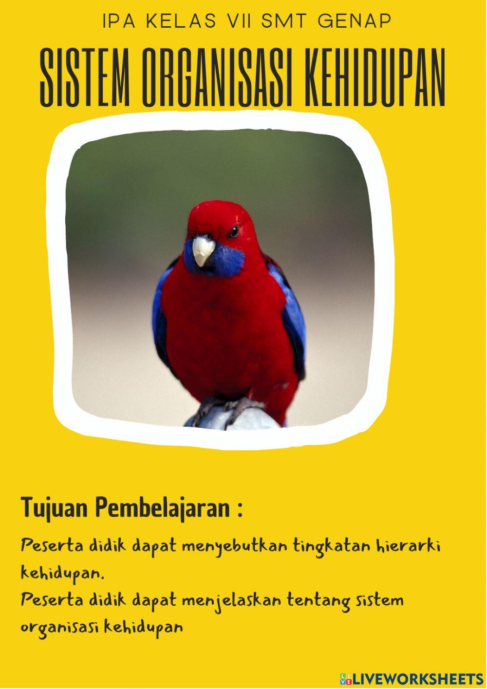 Media Pembelajaran Sistem Organisasi Kehidupan