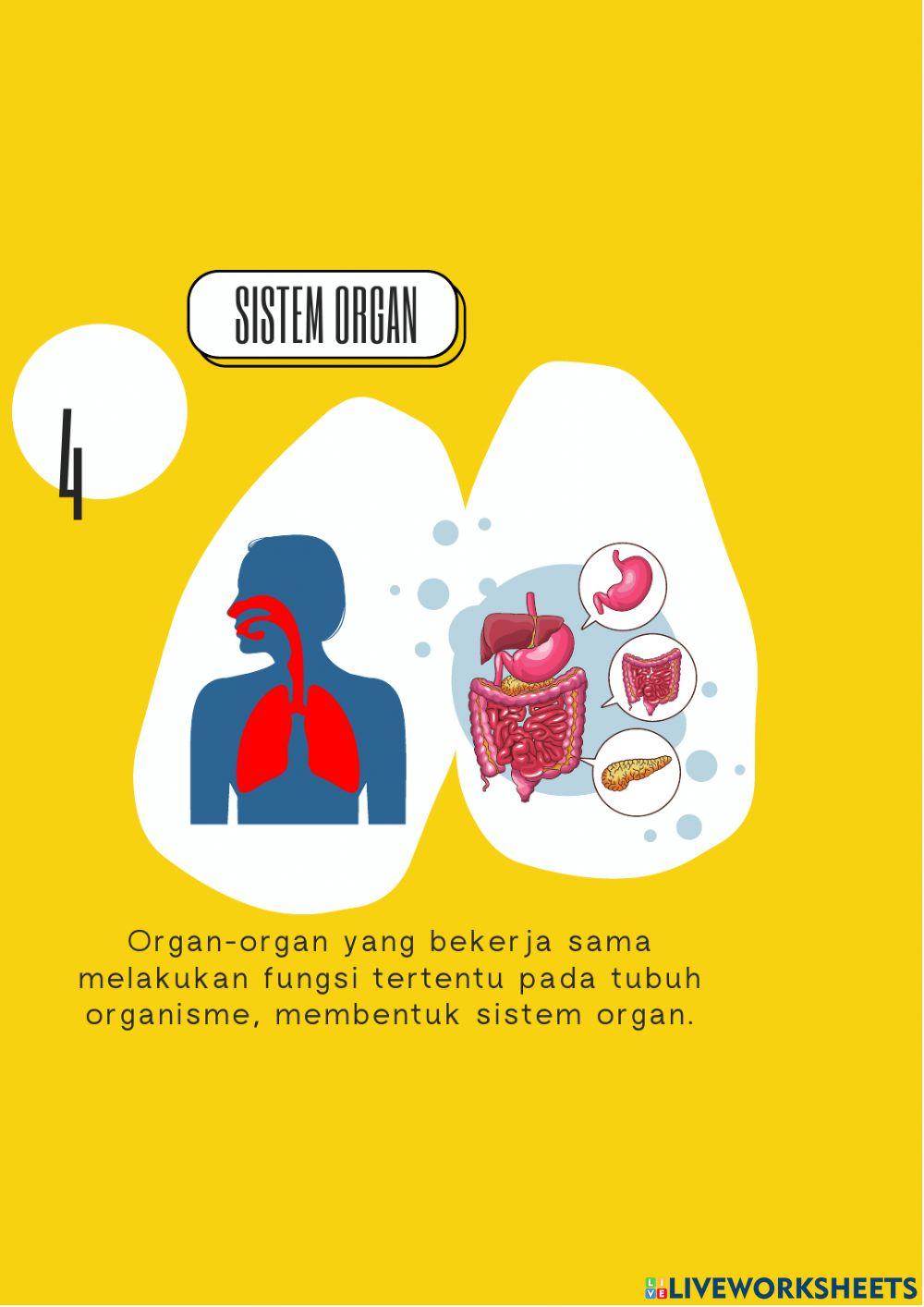 Media Pembelajaran Sistem Organisasi Kehidupan