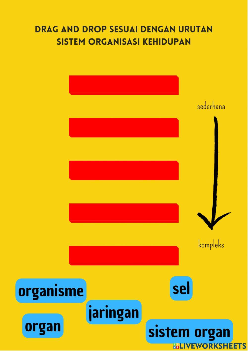 Media Pembelajaran Sistem Organisasi Kehidupan