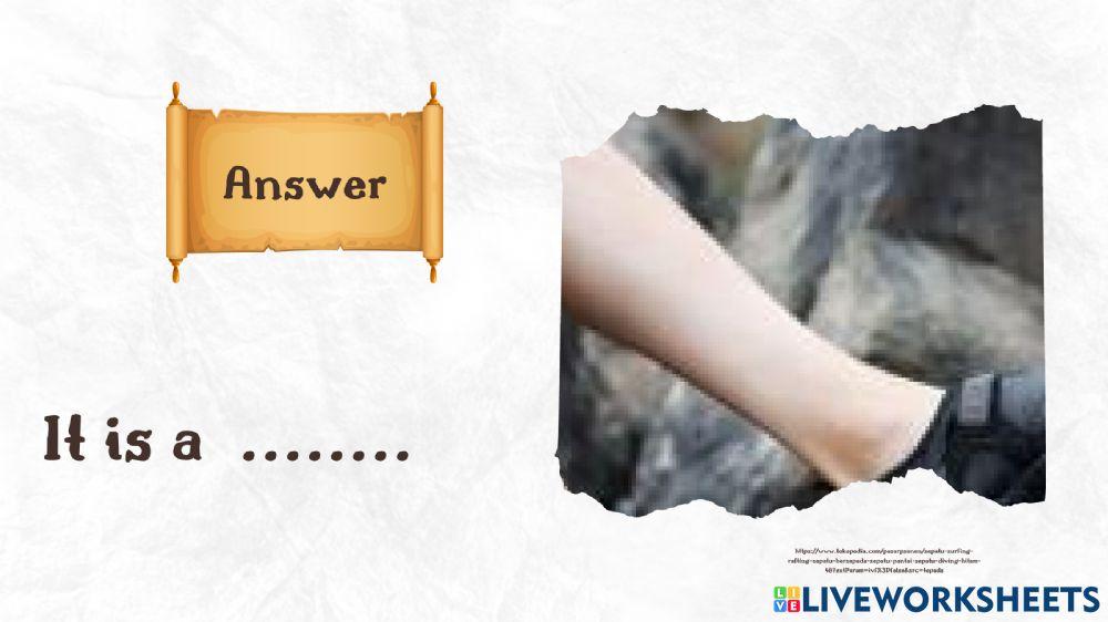 Group C Treasure Hunt