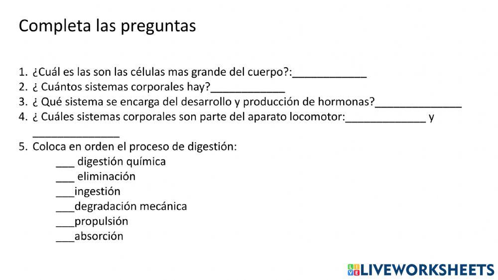 Aparatos del cuerpo humano