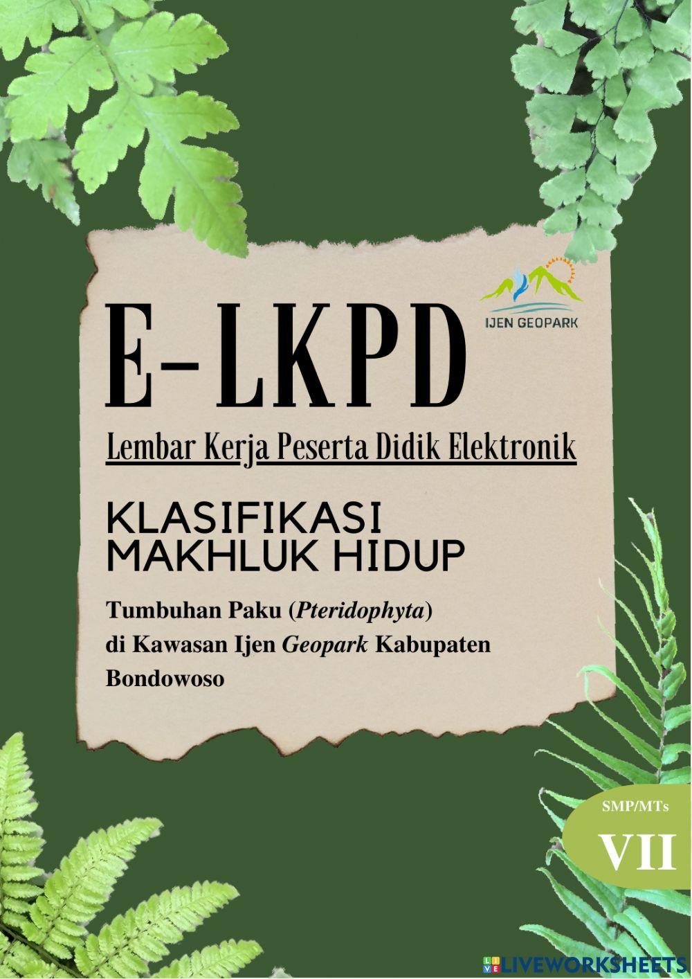 Klasifikasi Mahkluk Hidup - Tumbuhan Paku di Ijen Geopark