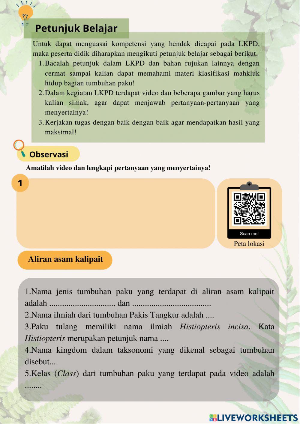 Klasifikasi Mahkluk Hidup - Tumbuhan Paku di Ijen Geopark