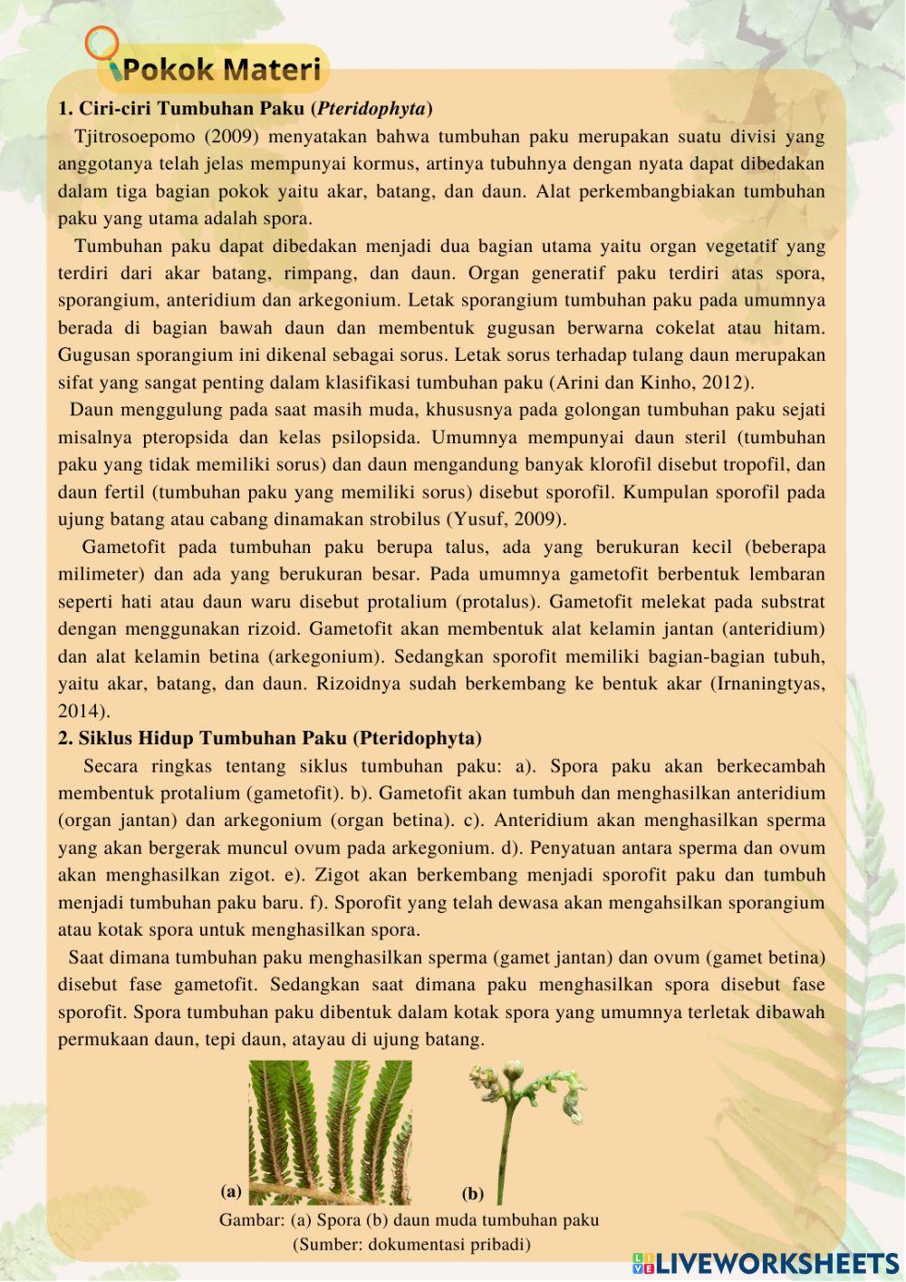 Klasifikasi Mahkluk Hidup - Tumbuhan Paku di Ijen Geopark