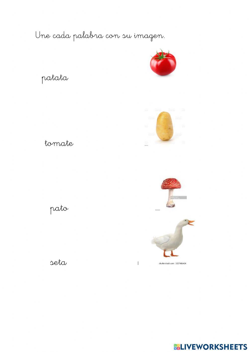 Conciencia fonológica