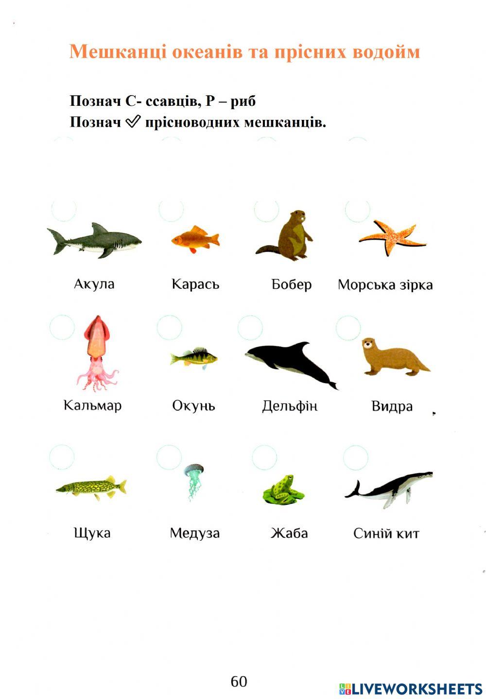 ЯДС Робочий зошит с.60