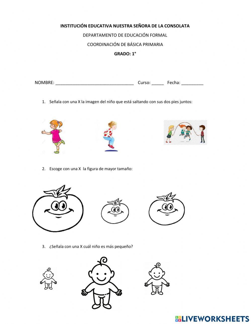 Estimulación Motricidad