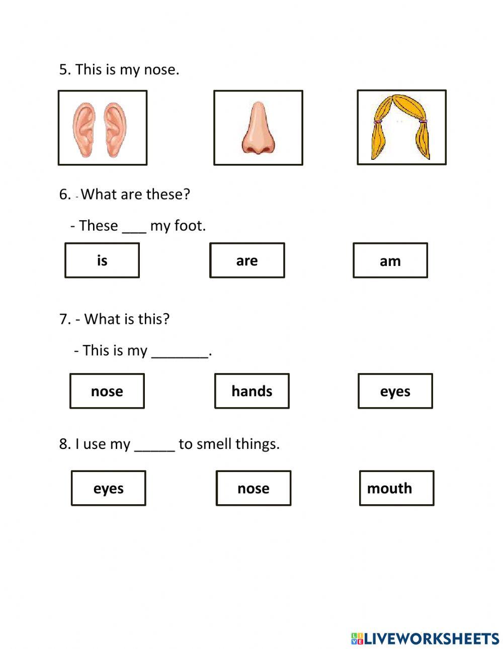 Everybody Up 1 - Unit 7