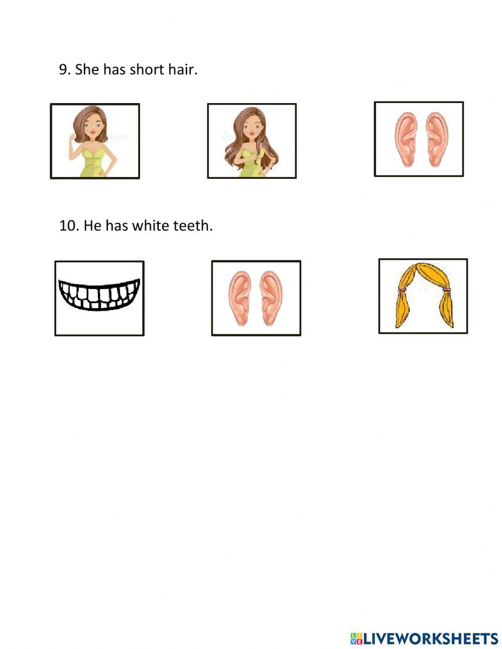 Everybody Up 1 - Unit 7