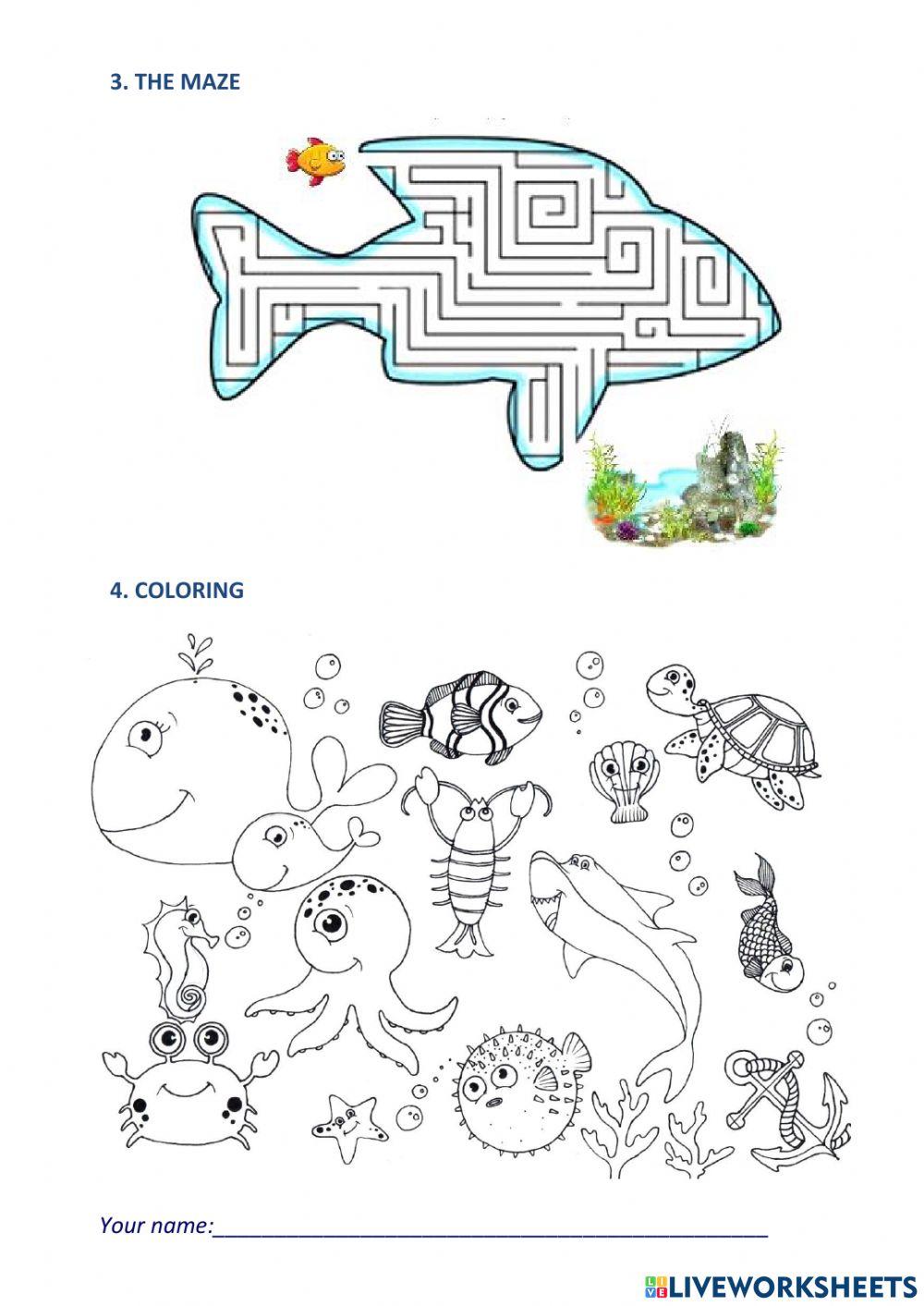Lesson 14. the ocean