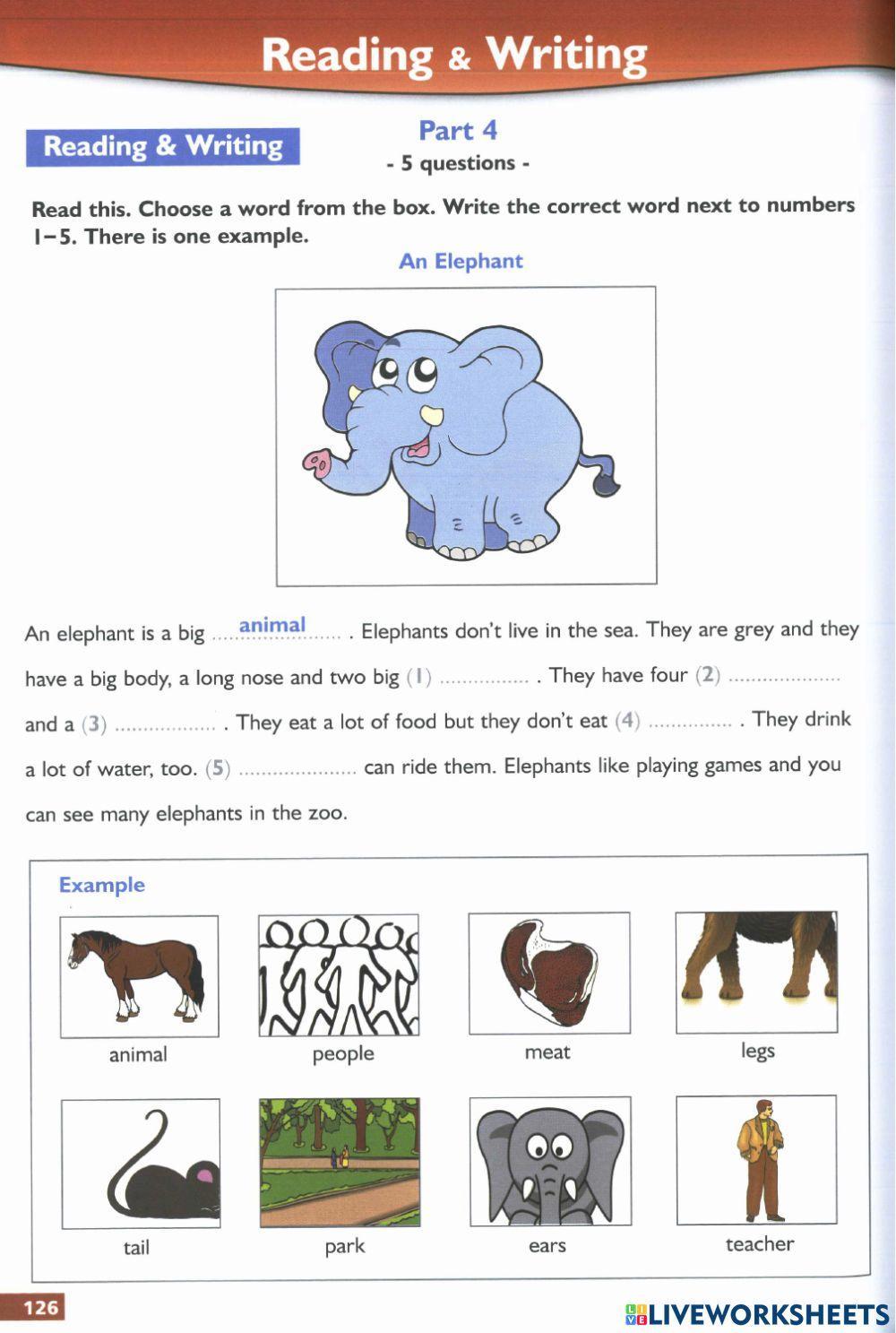 Starters success test 7- reading and writing
