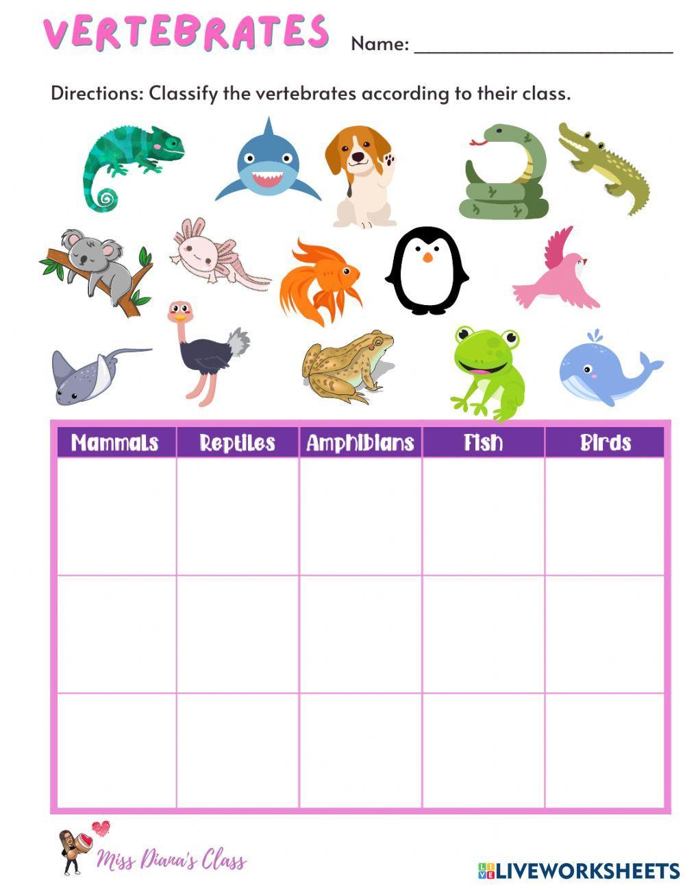 2238255-vertebrate-classification-diana-flores