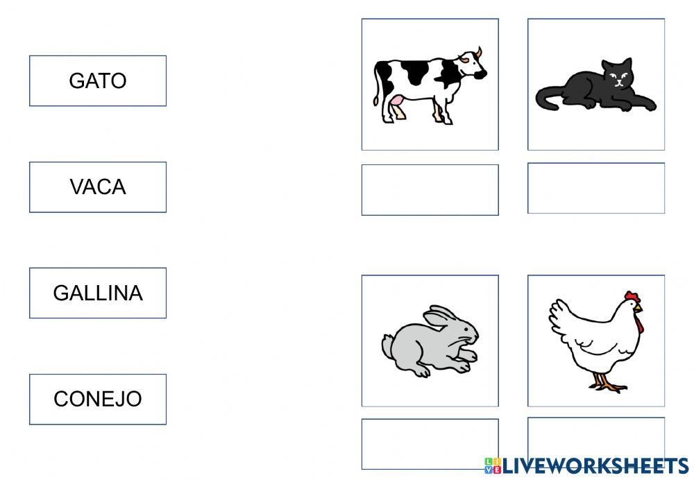 Lectura global sujetos verbos y complementos