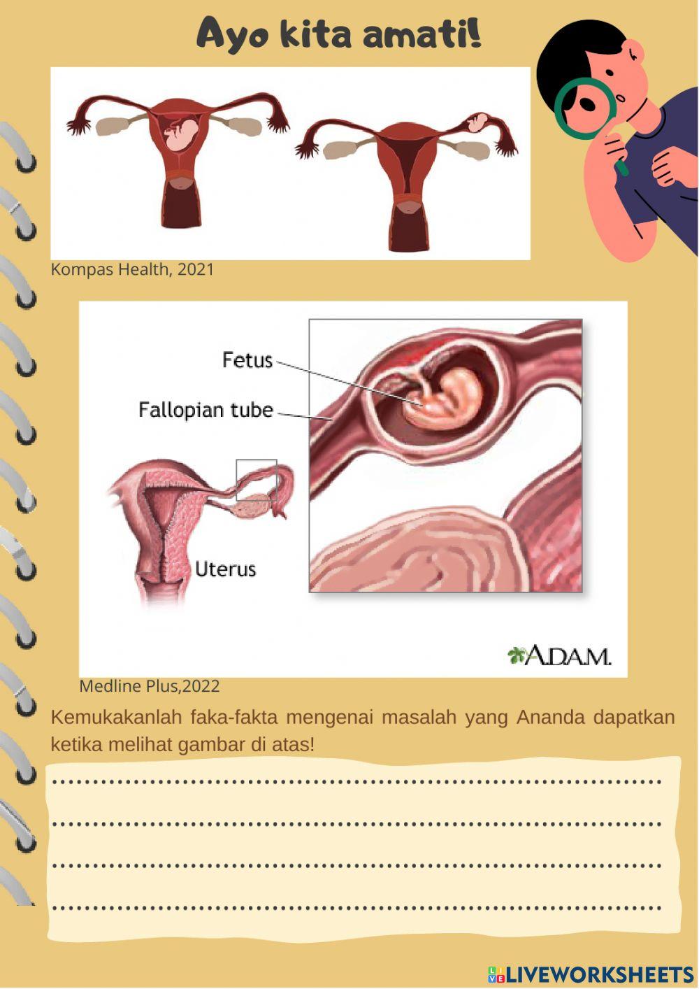 E lkpd rencana aksi 1