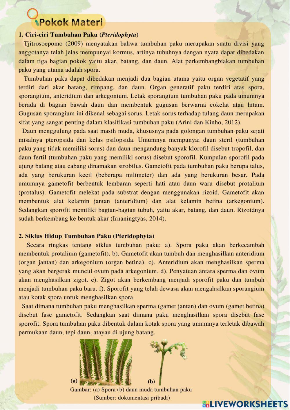 E-lkpd klasifikasi makhluk hidup - tumbuhan paku di kawasan ijen geopark bondowoso