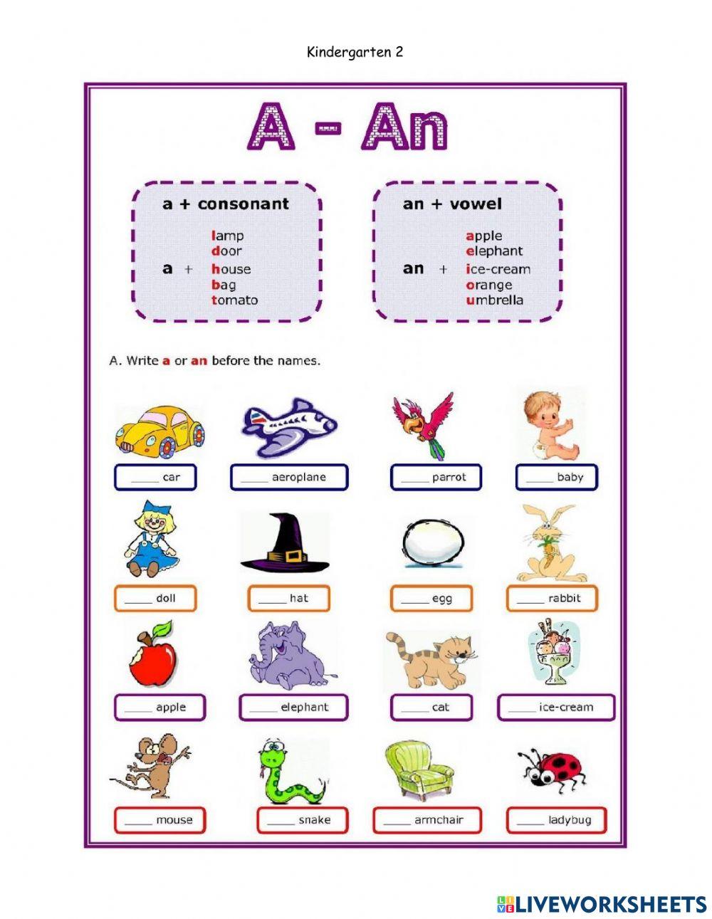 When Use A And An