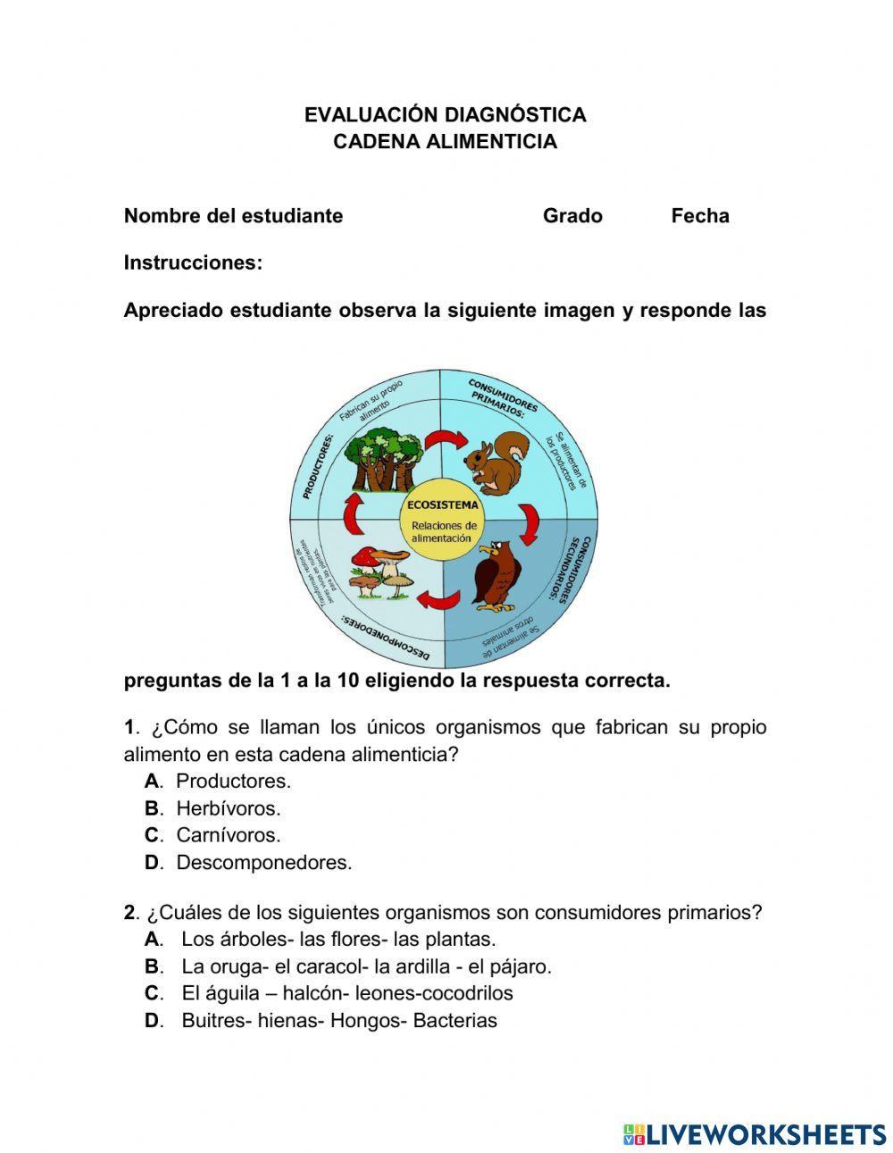 Evaluación diagnóstica cadena alimenticia
