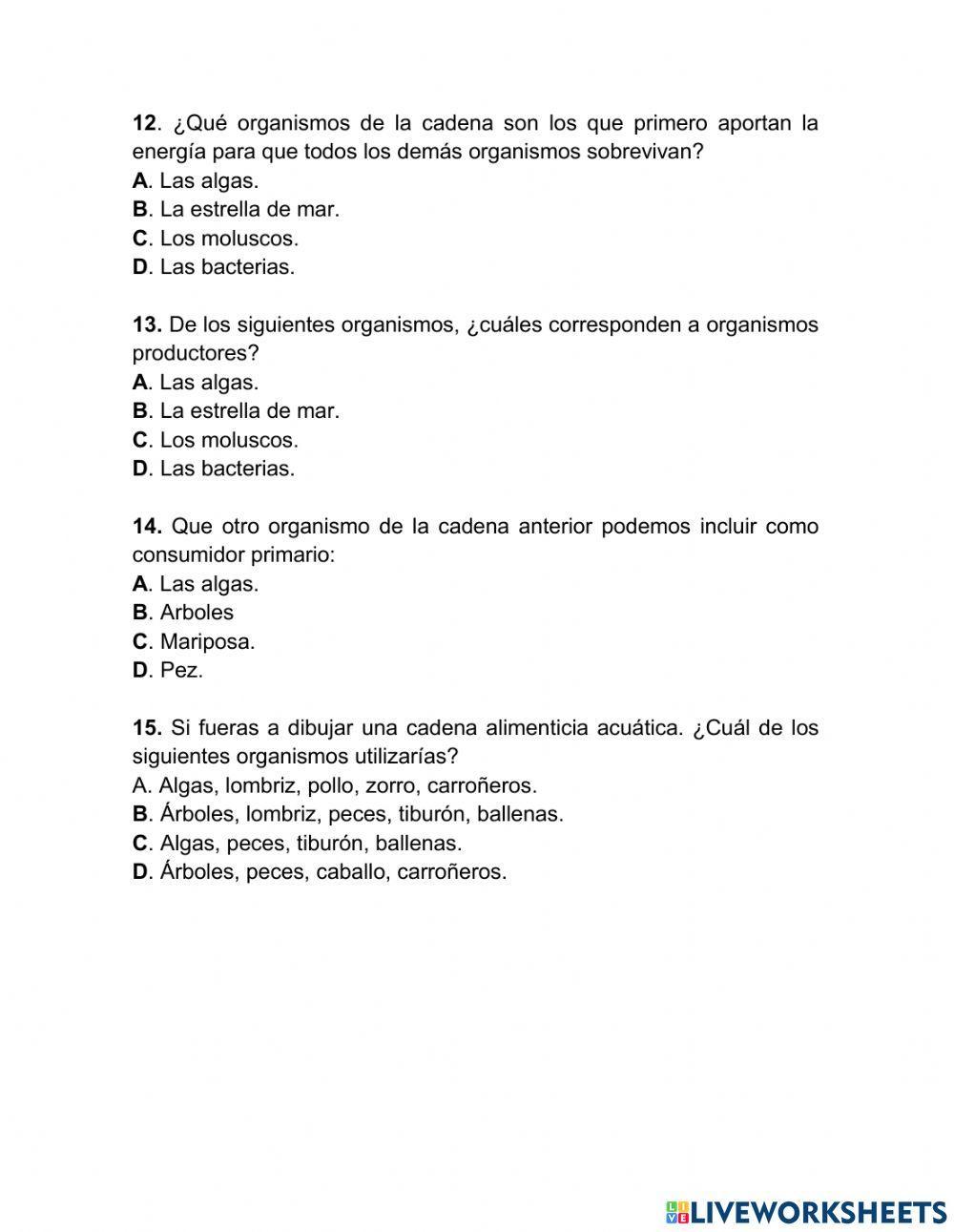 Evaluación diagnóstica cadena alimenticia