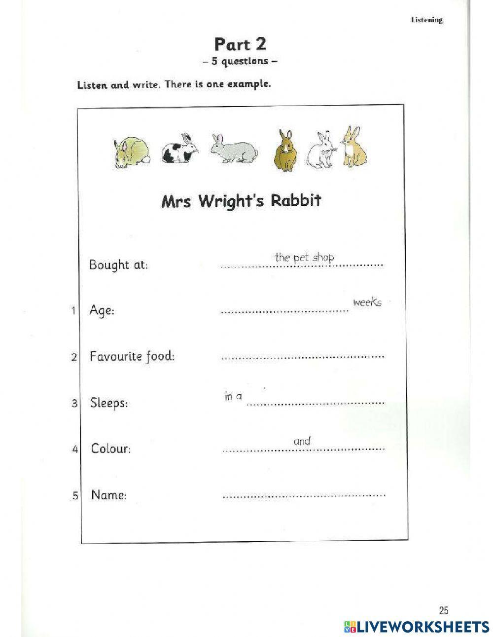 Movers 7- Test 2- Listening