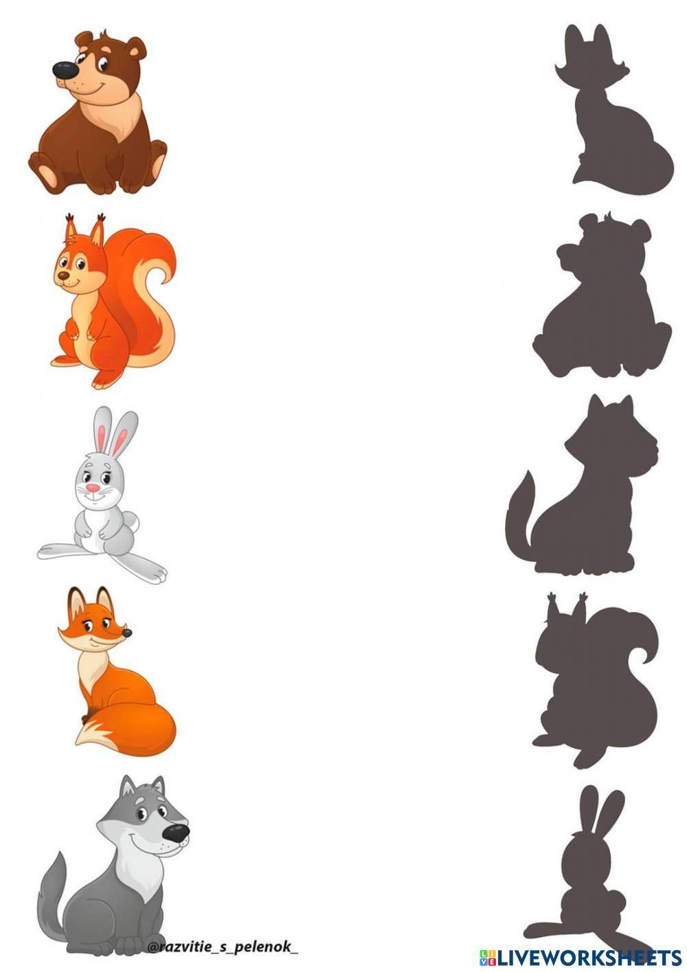 Знайди тінь