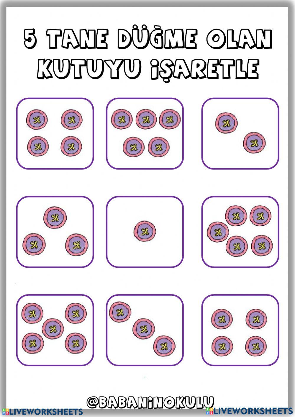 5-9 ARALIK GENEL TEKRAR PAZAR