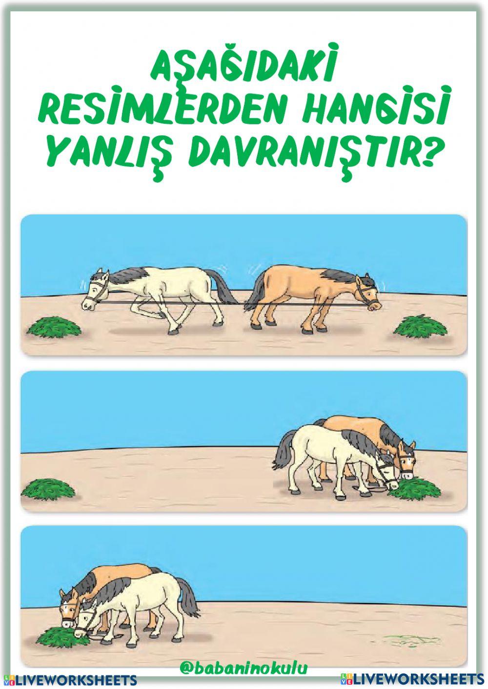 5-9 ARALIK GENEL TEKRAR PAZAR