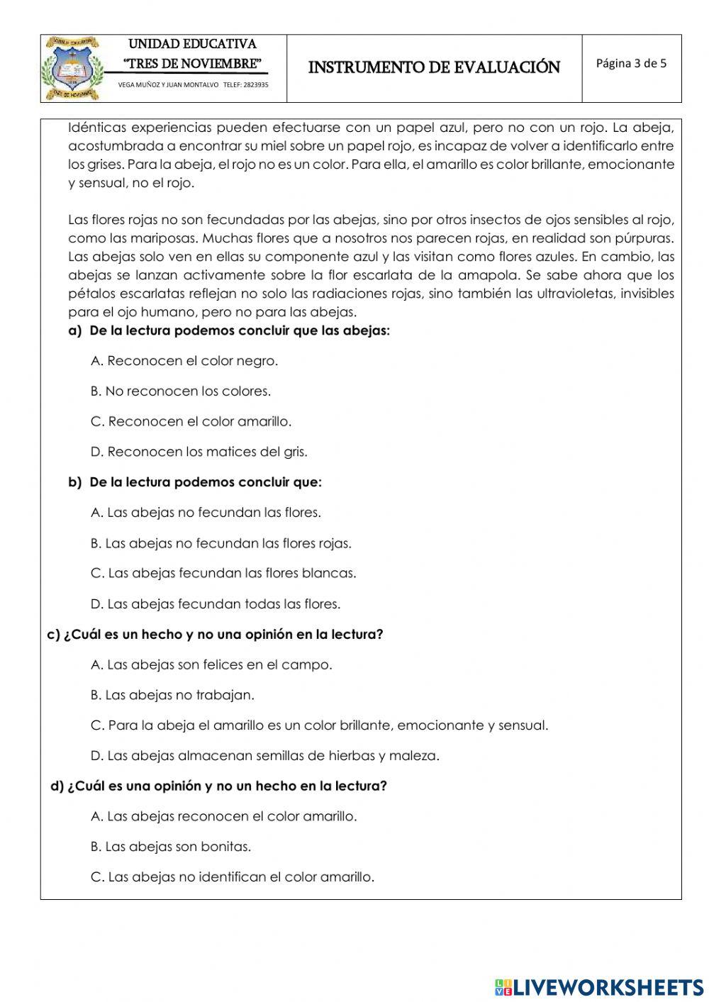 Evaluación Lengua y literatura 7MO