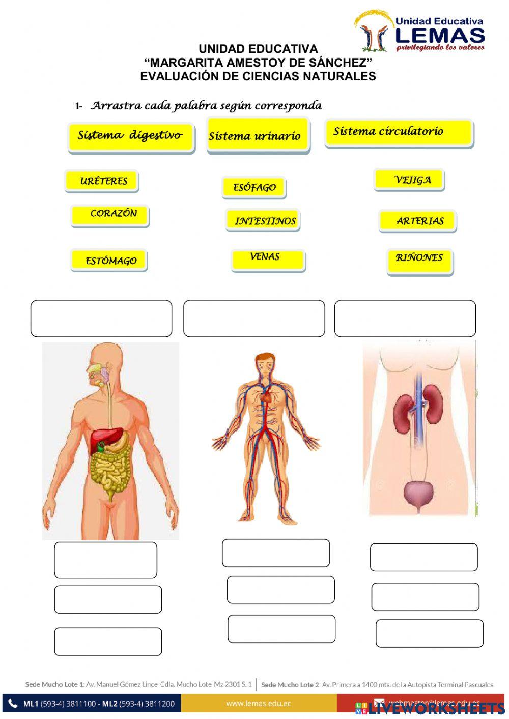 EVALUACIÓN de CCNN