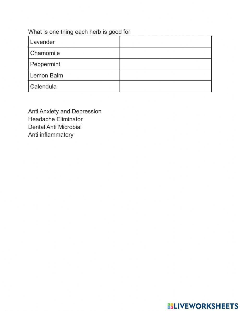 Plant identification