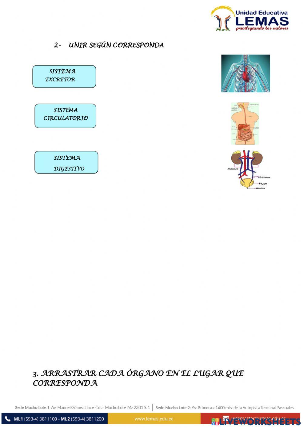 Evasluación quimestral