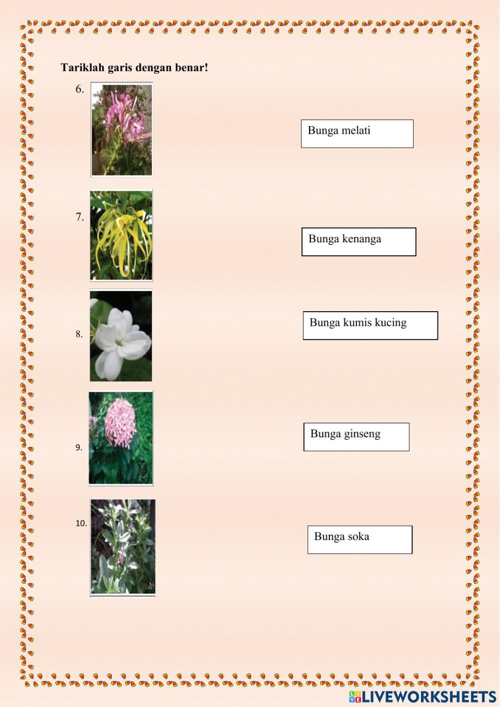 Latihan soal pkt puspa satwa1