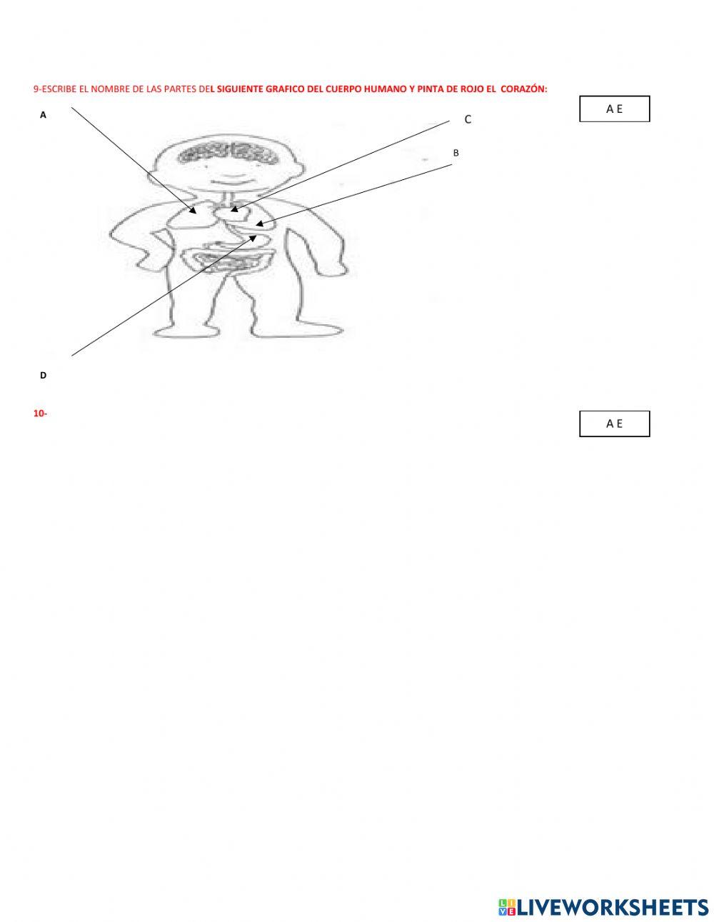 Ciencias naturales evaluacion