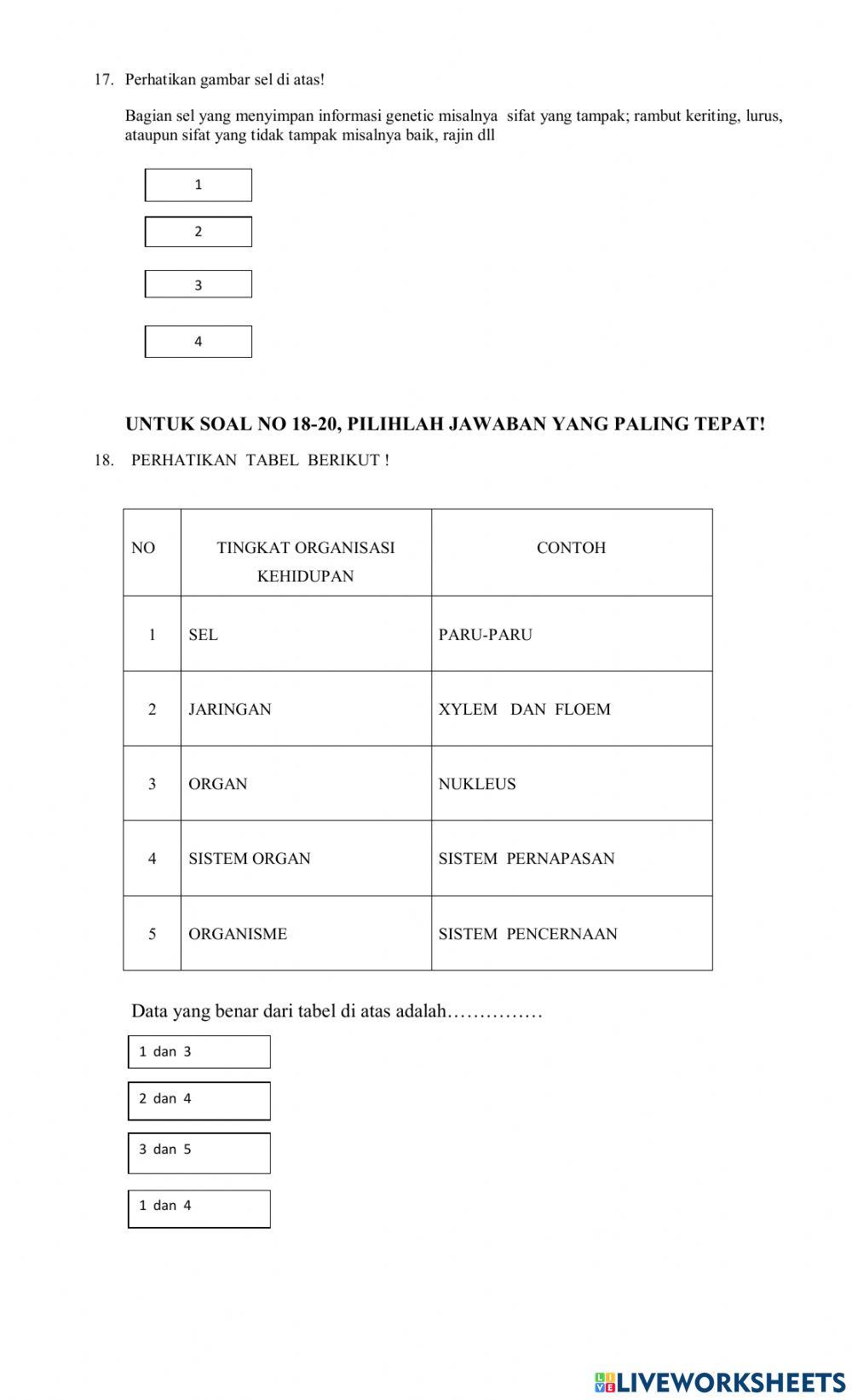 Sistem organisasi kehidupan