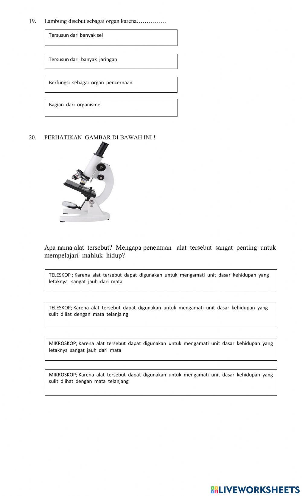 Sistem organisasi kehidupan