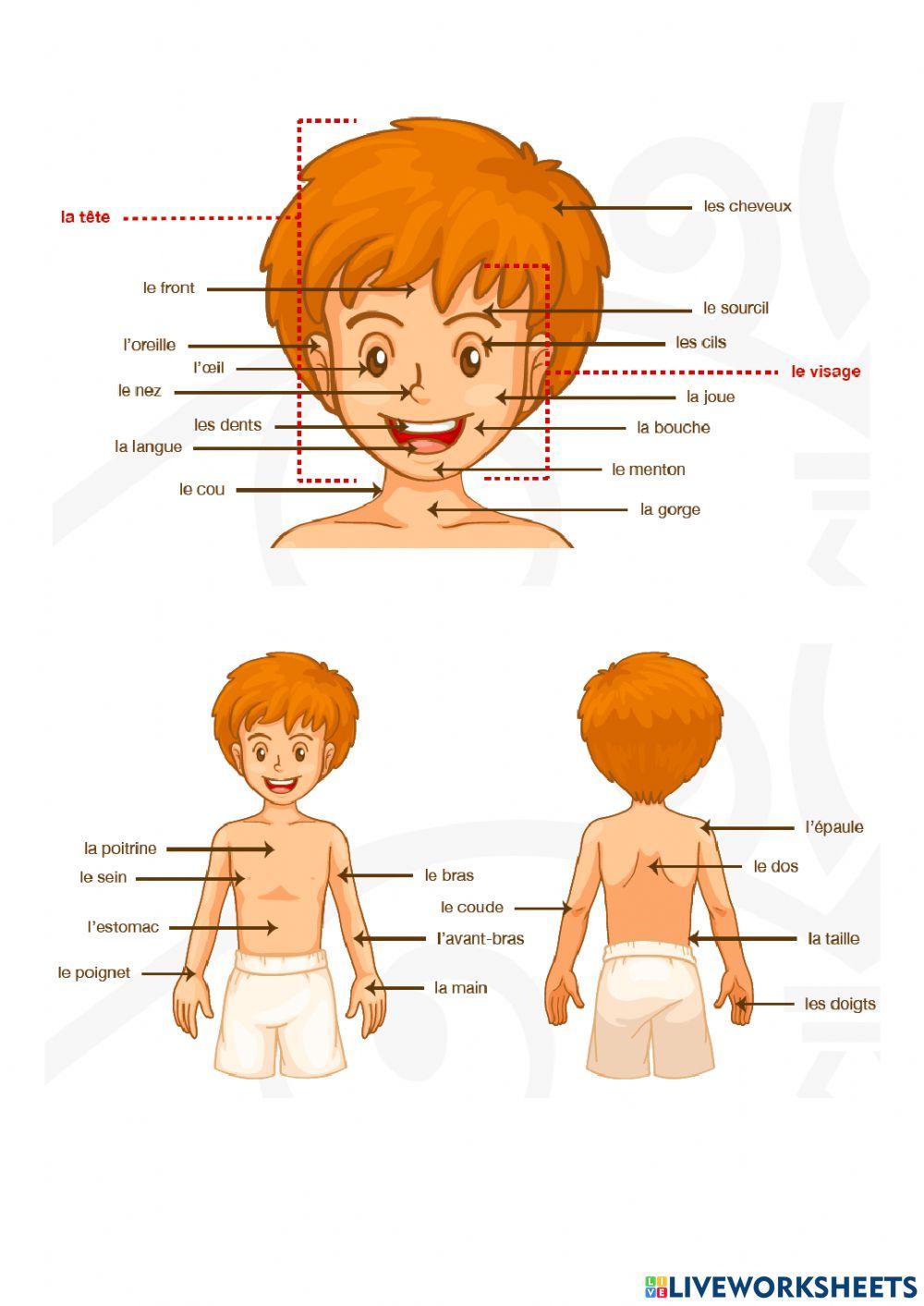 Donner des nouvelles