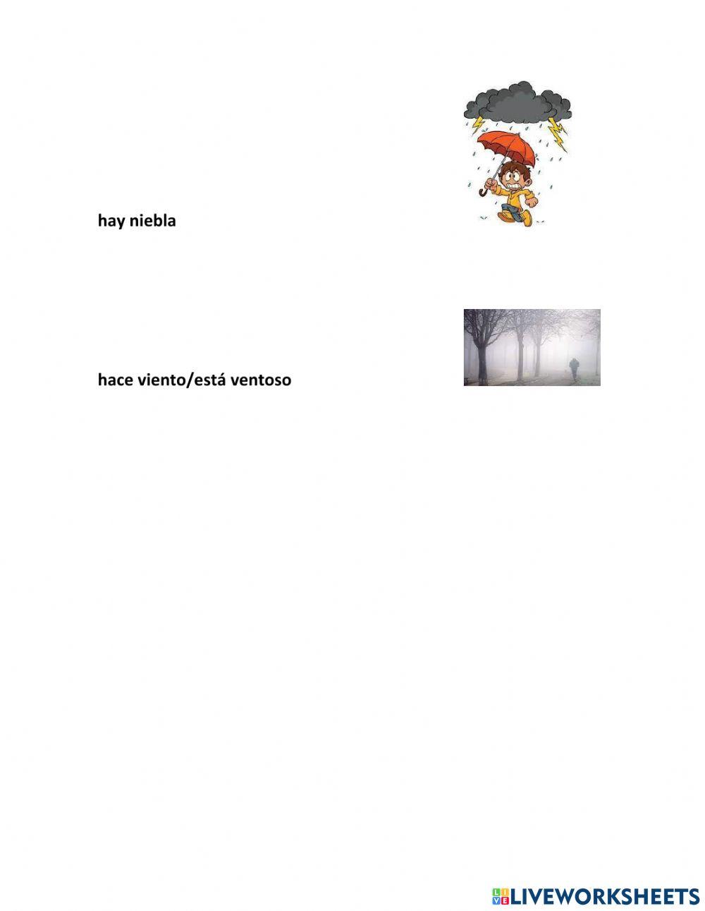 ¿Como está el tiempo?