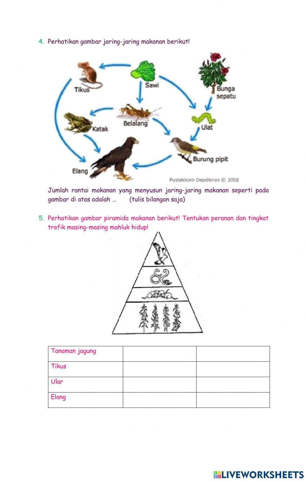 Latihan soal ekosistem