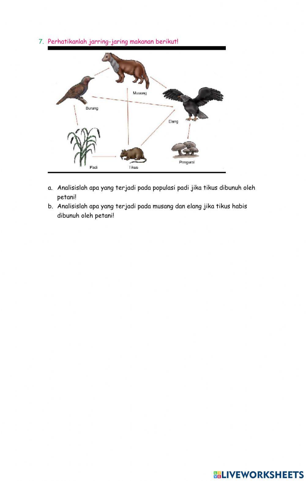 Latihan soal ekosistem
